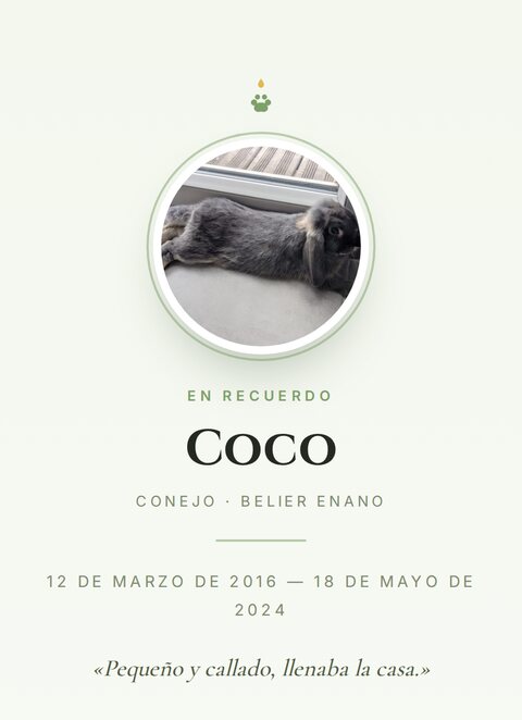 Memorial de Coco, un conejo