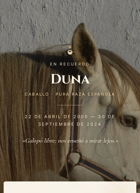 Memorial de Duna, una yegua