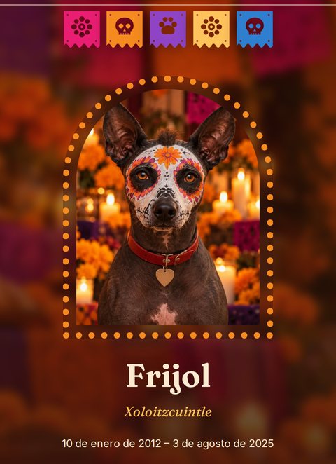 Memorial de Frijol, un xoloitzcuintle con la calavera pintada, con la plantilla Especial Ofrenda