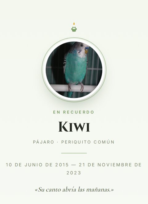 Memorial de Kiwi, un pájaro