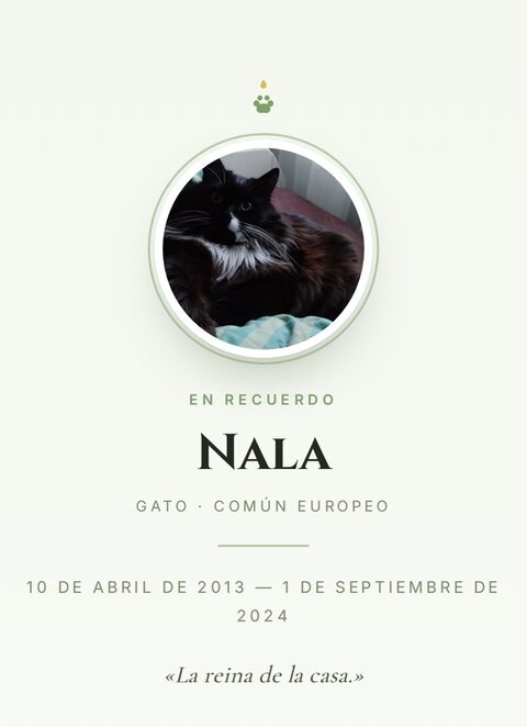 Memorial de Nala, una gata