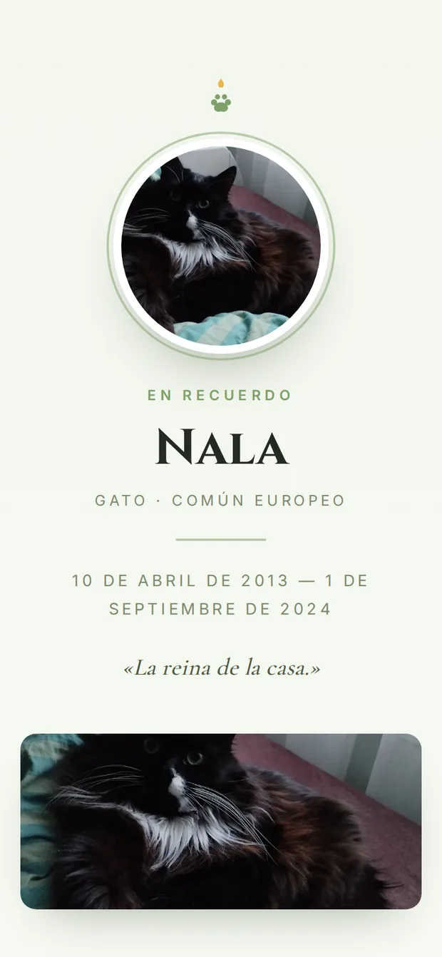 Memorial de Nala en el celular, plantilla Pradera