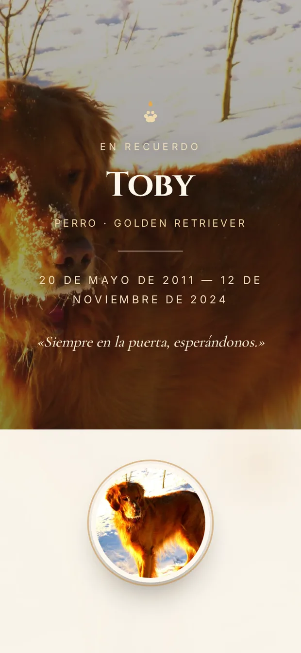 Memorial de Toby, golden retriever, abierto en el celular